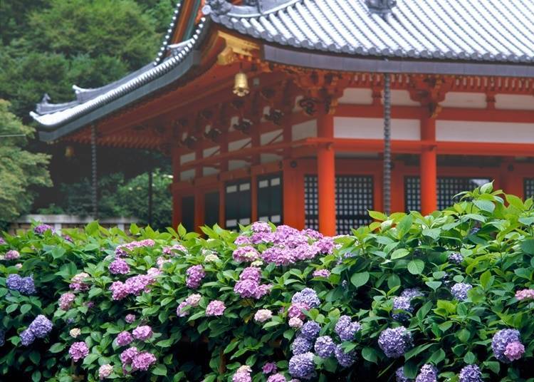 【大阪府】境内满满都是花卉、不倒翁—胜尾寺