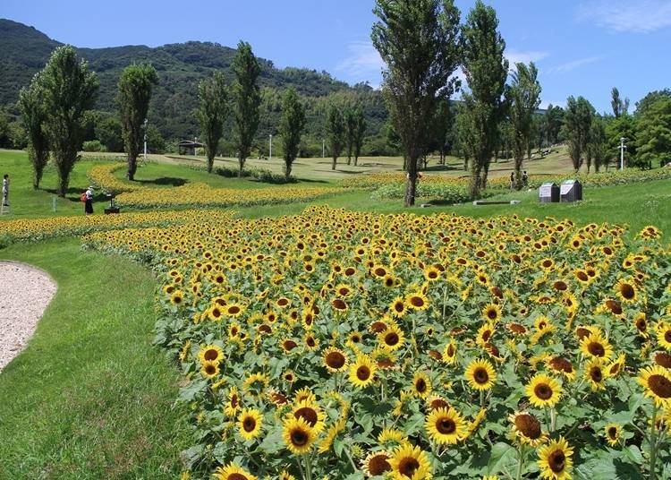 ４．四季花卉和豐富的娛樂活動～淡路島國營明石海峽公園