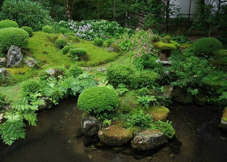 6. Sanzen-in: Cool off in a beautiful moss garden