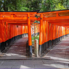 Kyoto & Nara Day Tour]：Arashiyama train, Fushimi Inari Shrine（Depart from Osaka or Kyoto）
Photo: (Klook)