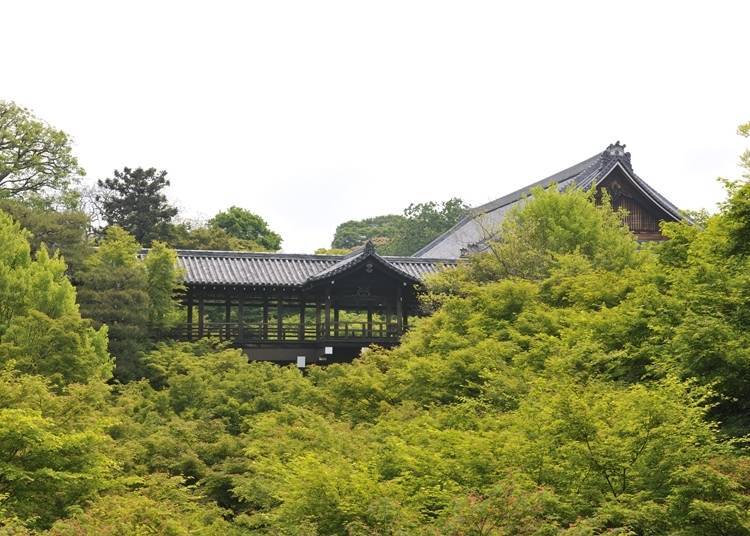 3．翠綠楓樹和溪谷帶來涼爽感受～東福寺