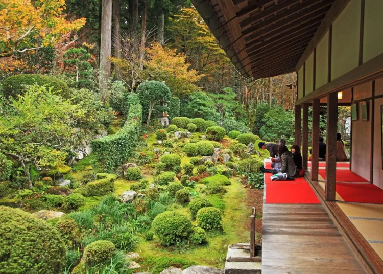 京都の隠れ里・大原にある「三千院」の庭（画像提供：Booking.com）