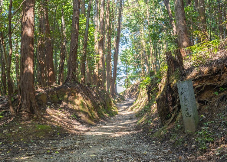 Yamanobe no Michi (Image: PIXTA)