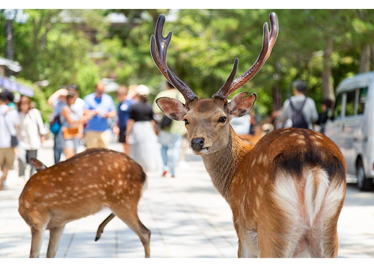 이미지 소재:PIXTA