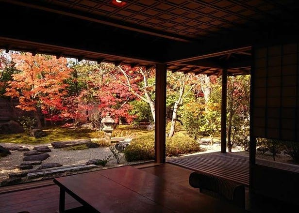 まるで絵画のよう！部屋から眺める紅葉が格別な「京都の宿」3選