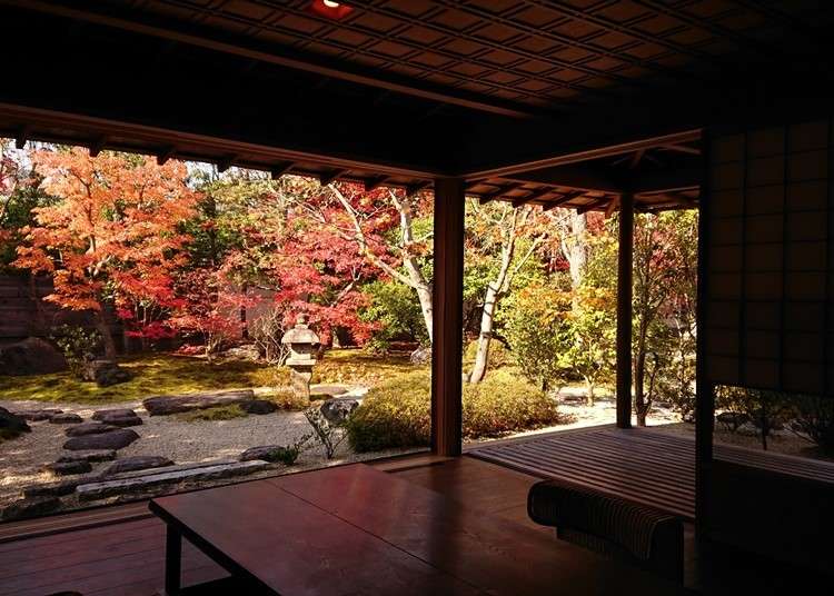 まるで絵画のよう 部屋から眺める紅葉が格別な 京都の宿 3選 Live Japan 日本の旅行 観光 体験ガイド