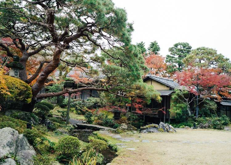 琵琶湖を模した池がある日本庭園