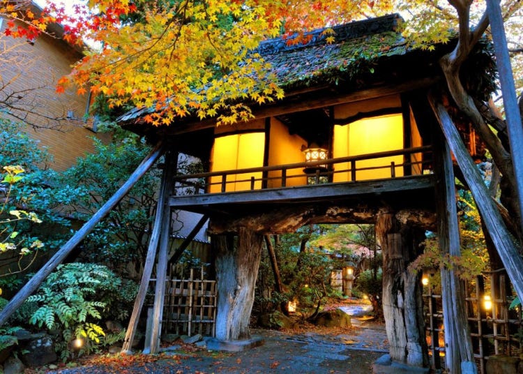 在房內就能賞楓！嵐山＆京都市內，適合賞楓的和風旅館3選