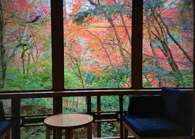 窗外就是红叶！奈良可在房内赏枫的传统和风感饭店、旅馆3选