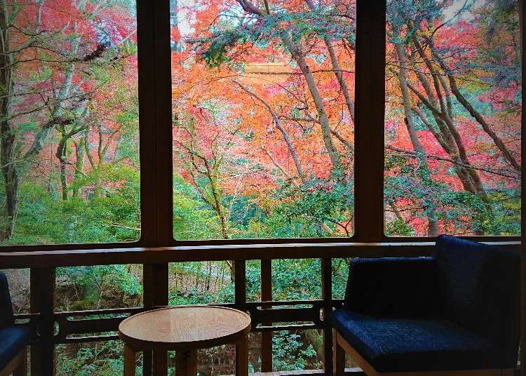 3 Hotels & Onsen Ryokan in Nara: Enjoy an Elegant Japan Vibe With Views of Fall Colors From Your Room