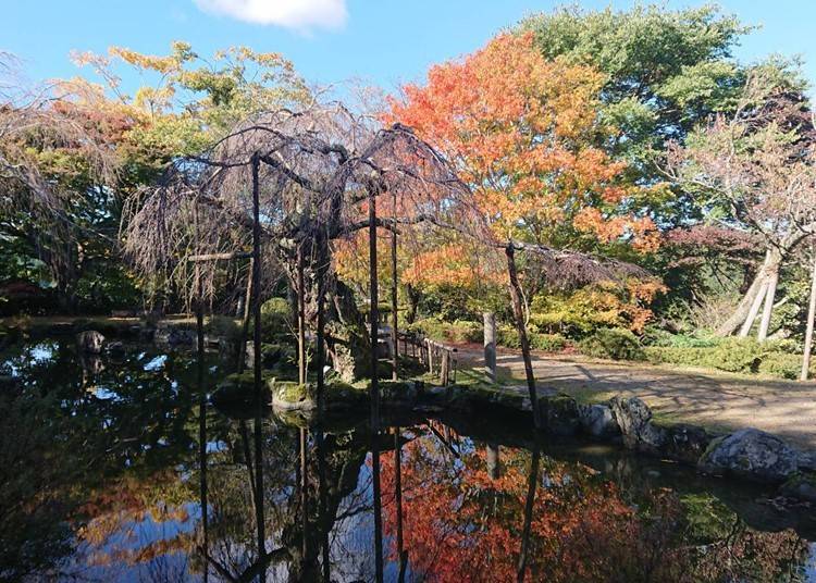 敷地内にある日本庭園「群芳園」。秋は紅葉に染まる