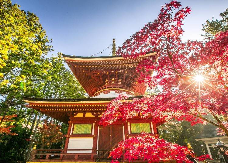 1. 천공의 성지에서 즐기는 단풍놀이 ‘고야산’ (와카야마)
