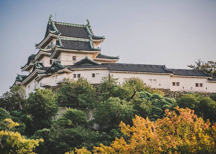 4. 명성(名城)을 수놓는 단풍나무 ‘와카야마 성・모미지다니 정원’ (와카야마)