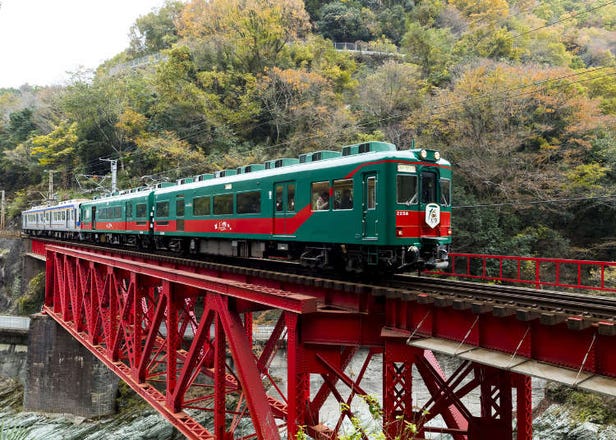 大阪赏枫就靠它！「南海电铁全线2日券乘车券」沿线的大阪红叶景点5选