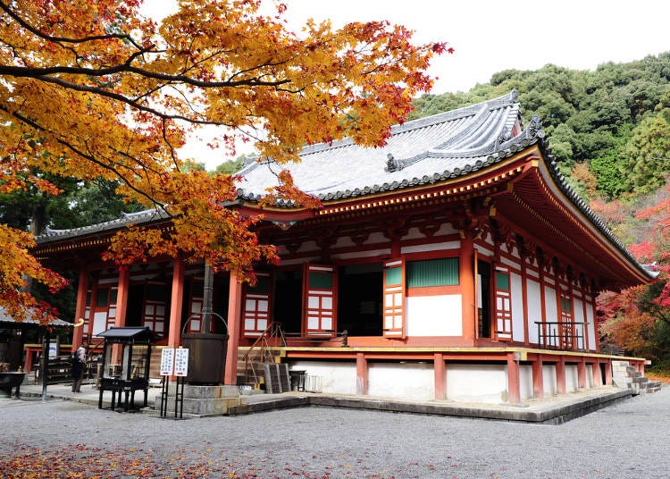 日本国宝と紅葉のコラボレーション「観心寺」（河内長野駅）