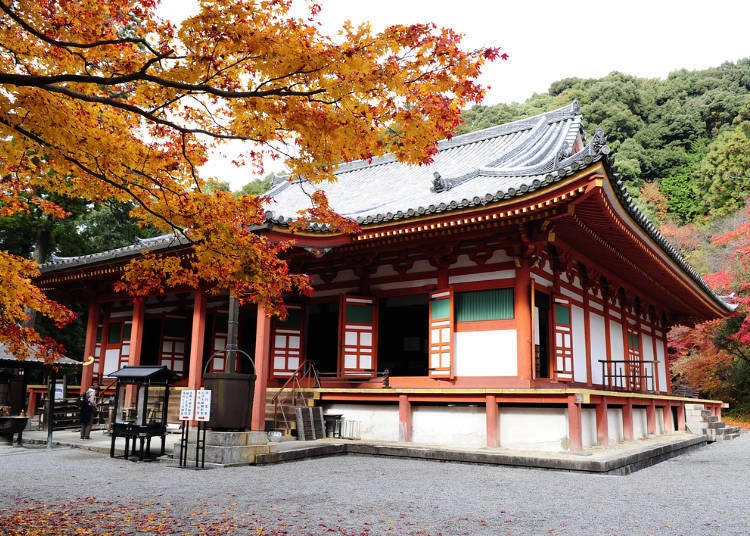 日本國寶和紅葉的組合「觀心寺」（河內長野站）