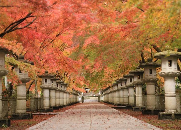 1. Enjoy the autumn leaves around the ancient temples of Tamba, Hyogo