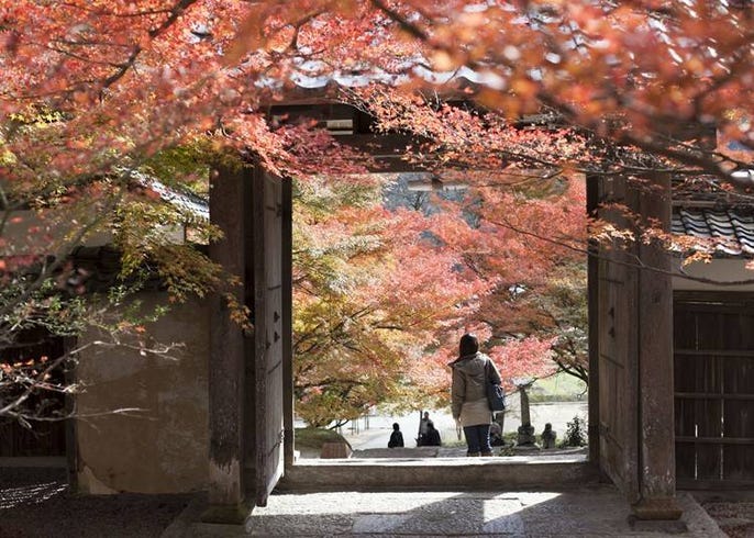 レンタカーで回りたい！関西の1泊2日で行ける３つの紅葉ドライブエリア 