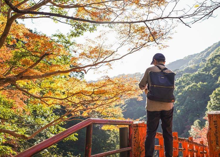 이미지 제공: 다나베시 관광진흥과