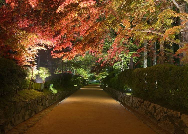 照片提供：總本山金剛峯寺