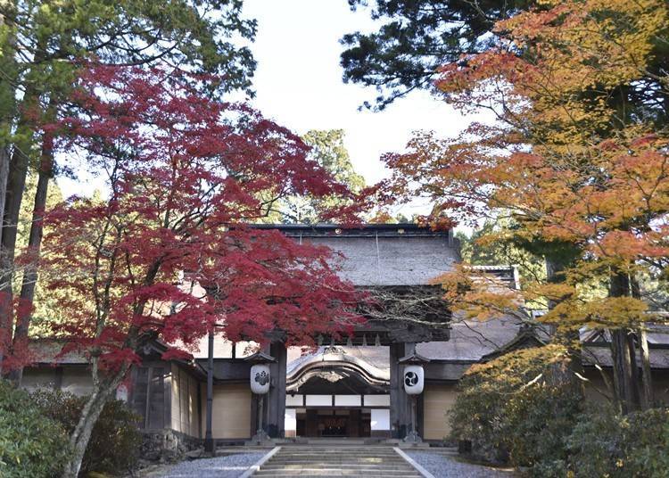 照片提供：總本山金剛峯寺