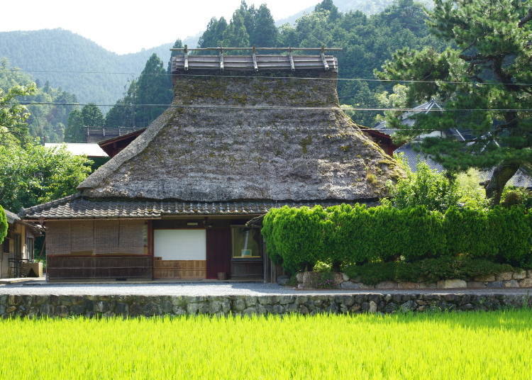 入住日式茅草屋老房享受田園風光美好－「美山FUTON＆Breakfast」