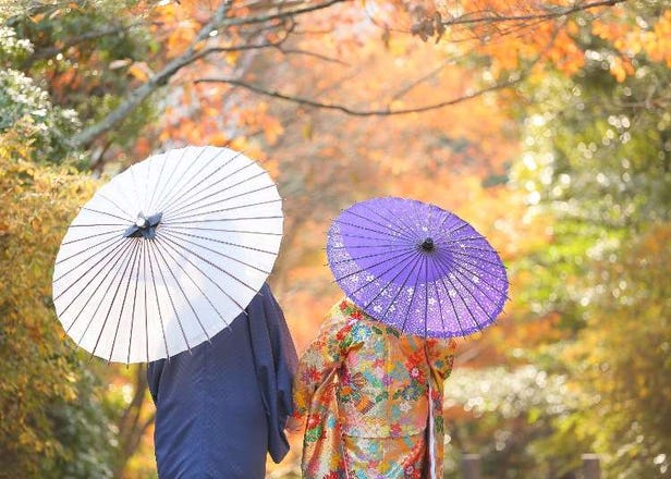 日文的賞楓為什麼叫做「狩獵紅葉」？楓葉銀杏、日本賞楓歷史、賞楓方法完整解說