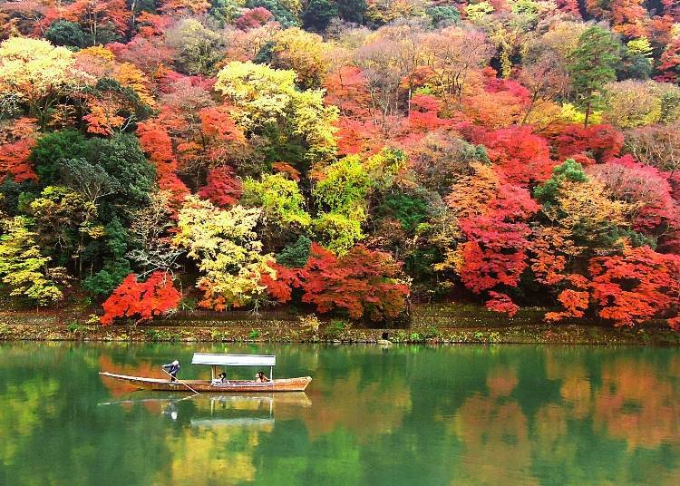 為什麼日本人要賞楓（狩獵紅葉）呢？