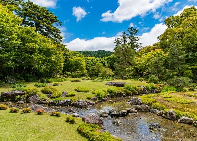 5 Traditional Japanese Gardens in Kyoto and How to Enjoy Them: Tips from A Kyoto Landscaping Firm