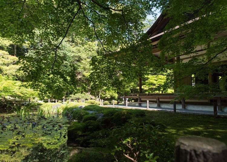 Nanzen-in (Photo: Ueyakato Landscape)