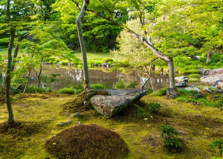 日本庭園的思維和歷史變遷