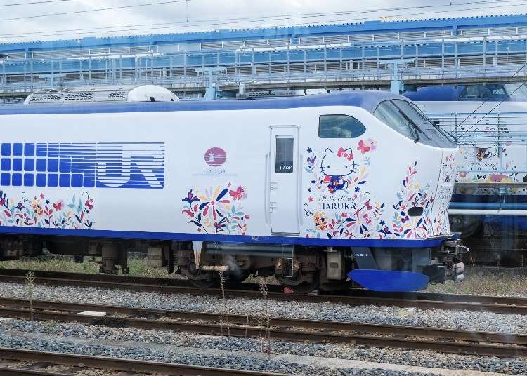 搭乘Hello Kitty電車從關西國際機場去京都吧！「Hello Kitty HARUKA」特急列車介紹