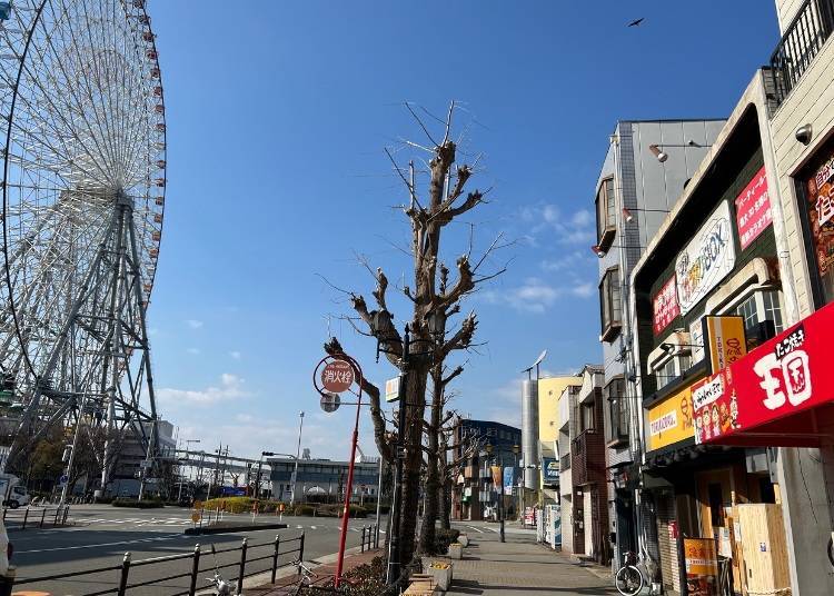 Takoyaki Okoku: Easily Accessible from Osaka Aquarium Kaiyukan & Tempozan Marketplace