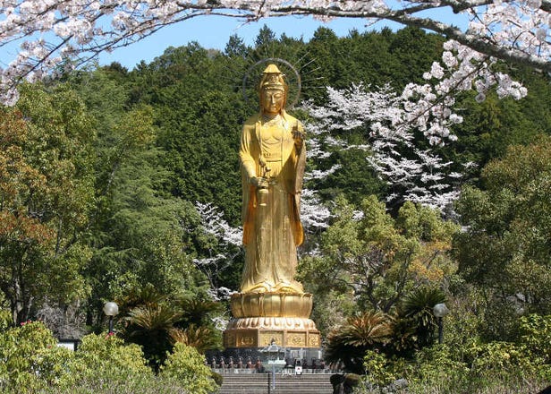 高達33公尺的純金觀音像！三重縣有趣佛像的「大觀音寺」，就在大阪隔壁