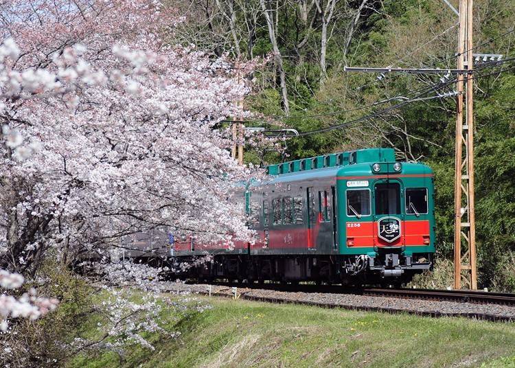 4. From Kamuro Station to Kudoyama Station on Nankai Electric Railway’s Koya Line (Wakayama Prefecture)