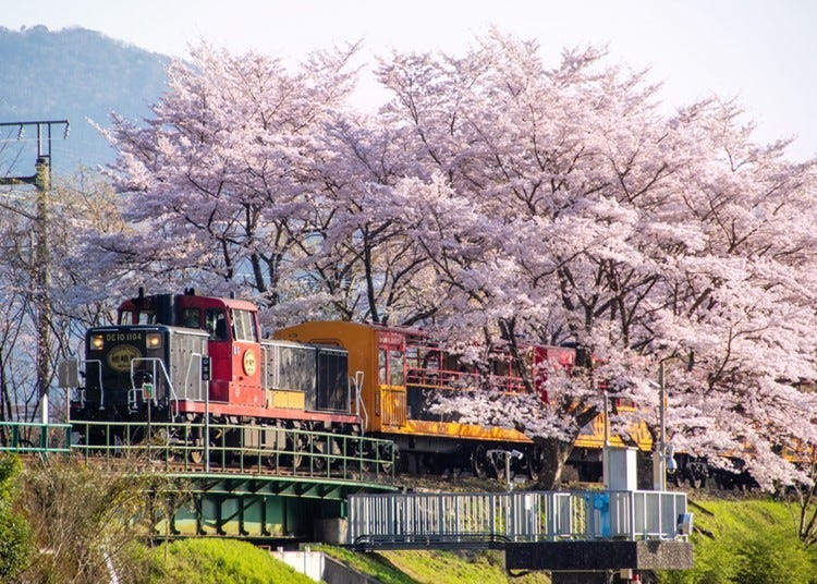 大阪城が見える穴場も！鉄道と桜のコラボレーション絶景5選【関西編】