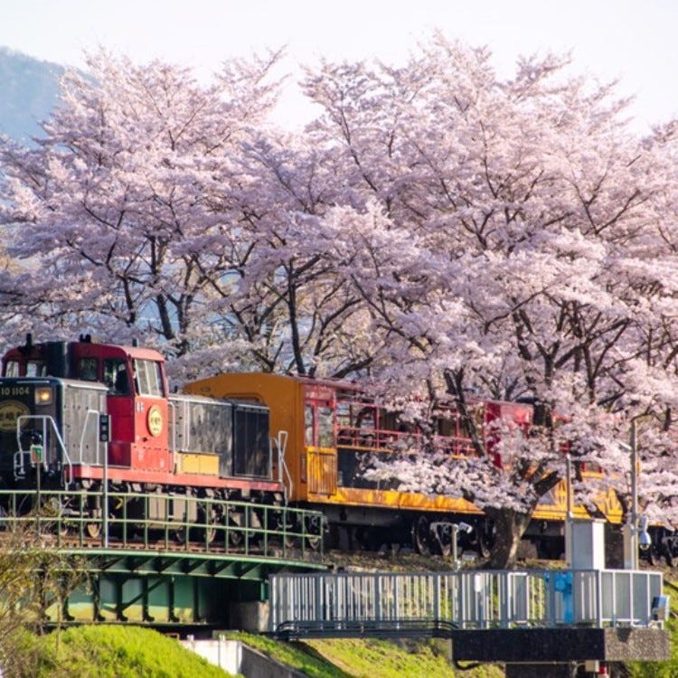 大阪城が見える穴場も！鉄道と桜のコラボレーション絶景5選【関西編