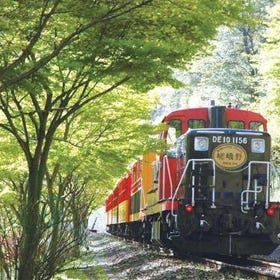 Book Now ▶ Kyoto Sagano Romantic Train, Arashiyama, Kiyomizudera Half-Day Tour in Kyoto
Photo: Klook