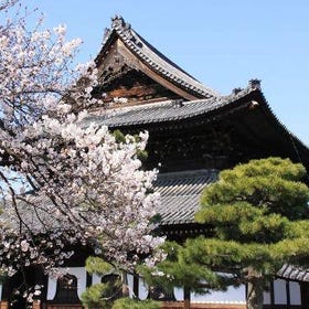 Book Now ▶ Nishiki Market Half Day Walking Tour with Tea Ceremony Experience
Photo: Klook