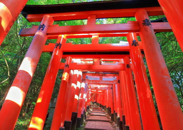 Fushimi Inari Taisha - Taking Photos of the Stunning Torii Gates!