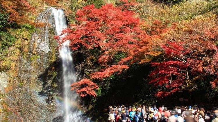 Osaka's Minoh Park: Enjoy A Refreshing Getaway With Waterfalls, Onsen, Food & More