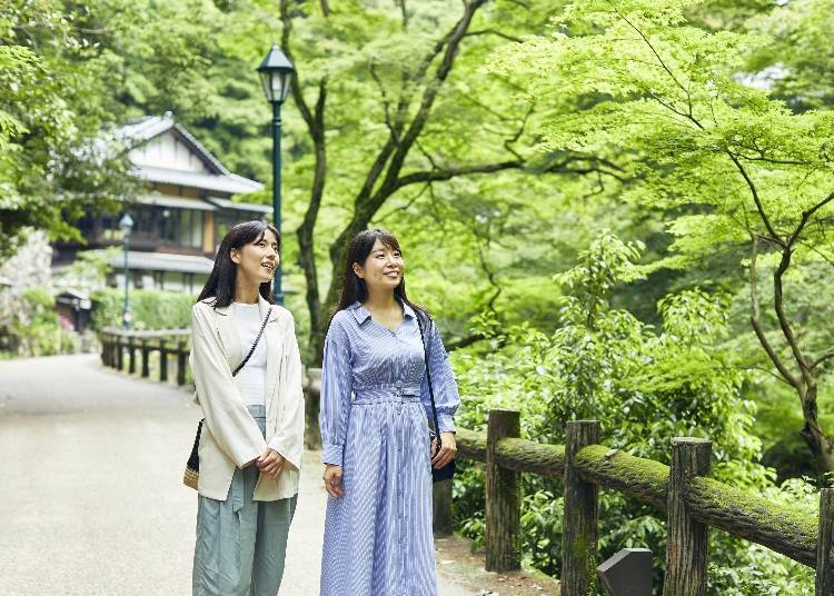 Stroll Through the Greenery to Minoh Falls