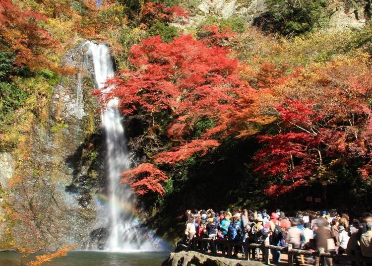 Minoh Falls in the autumn foliage season.