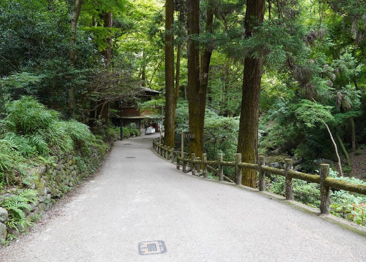 箕面公園とはどんな場所？