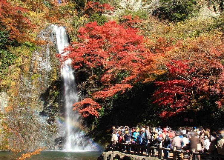 紅葉の季節の箕面大滝