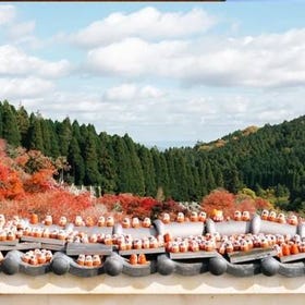 勝尾寺 x 箕面瀑布 x 嵐山竹林 x 東大寺&奈良公園