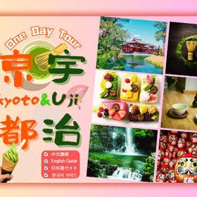 宇治平等院 & 伏見稻荷大社 & 勝尾寺 & 箕面大瀑布一日遊 (大阪出發)
