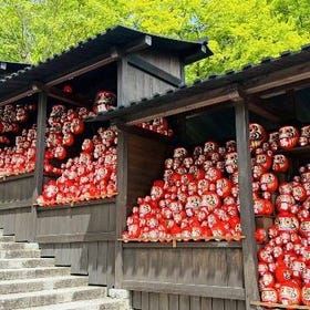 日本勝利達摩之寺一日遊｜網紅景點大阪勝尾寺・京都嵐山・清水寺散步｜大阪出發