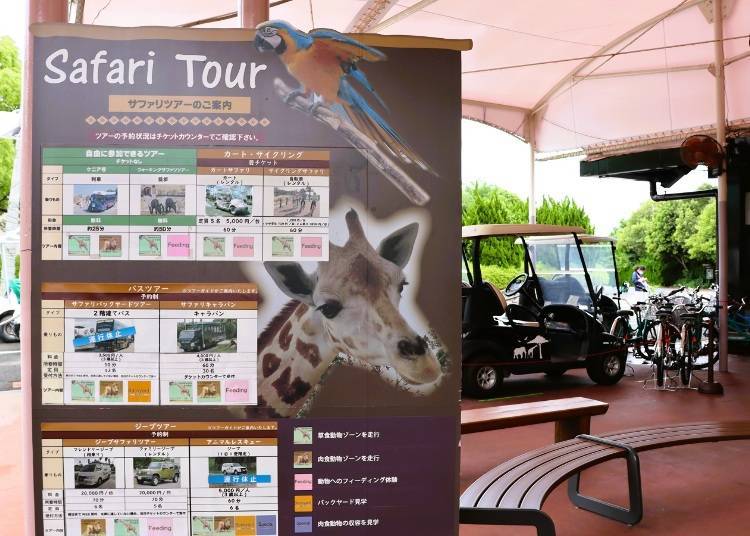 記得事先預約Safari World的遊覽和活動喔！