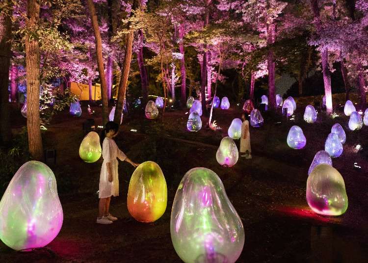 Enjoy teamLab in Osaka! Inside the Innovative 'Digitized Nature' Outdoor Exhibition